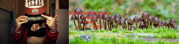 амф Алексеевка
