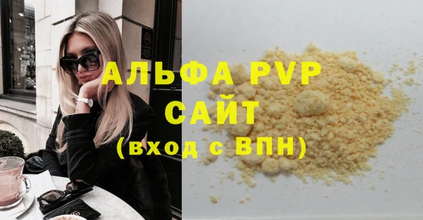 стафф Алексин