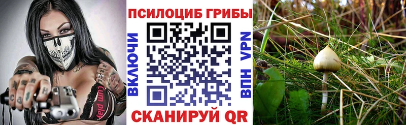Галлюциногенные грибы прущие грибы  Амурск 